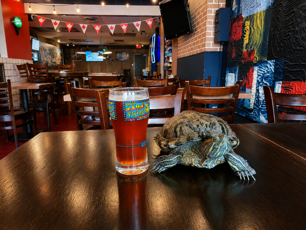 Turkey the Turtle: The Unofficial Mascot of the Community